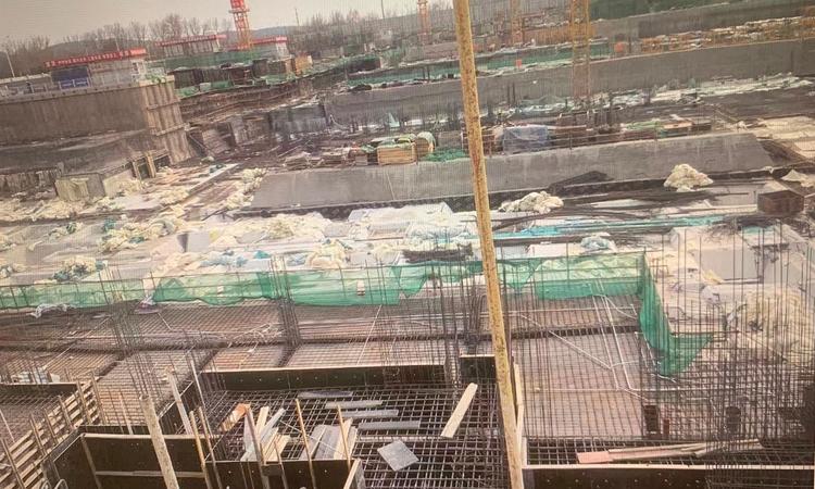 梧桐山语实景图