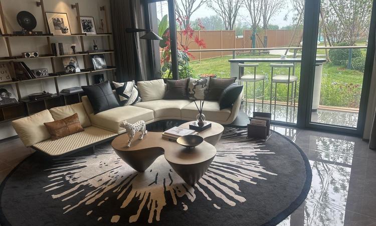 帅府·京彩世界样板间