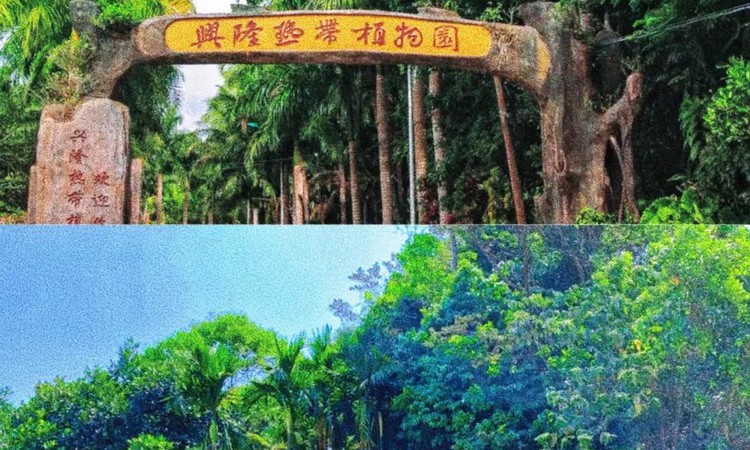 葛洲坝·石梅湾海语树周边配套图