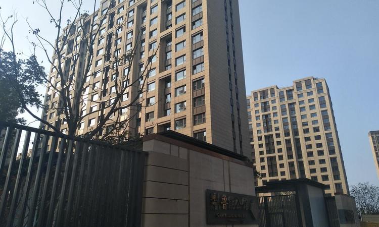 栖霞鲁能公馆实景图