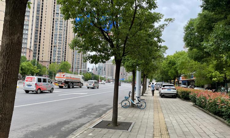 武汉城建·电建·幸福时代大家周边配套图