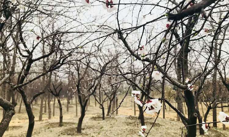 国信·国际公馆周边配套图