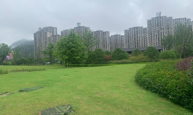 敏捷·星著柏悦府周边配套图