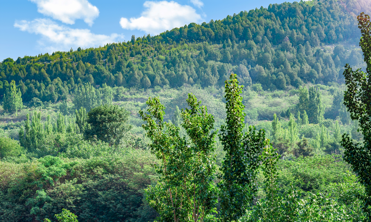 市中万科城周边配套图