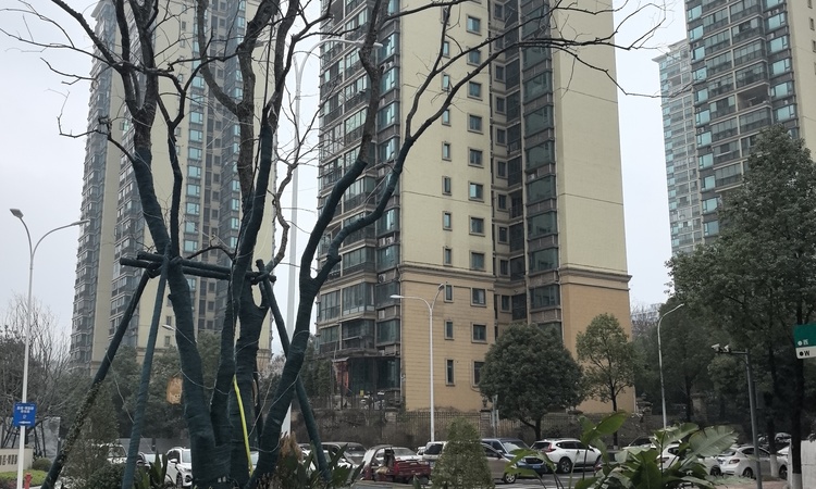 嘉信博麓郡施工进度图