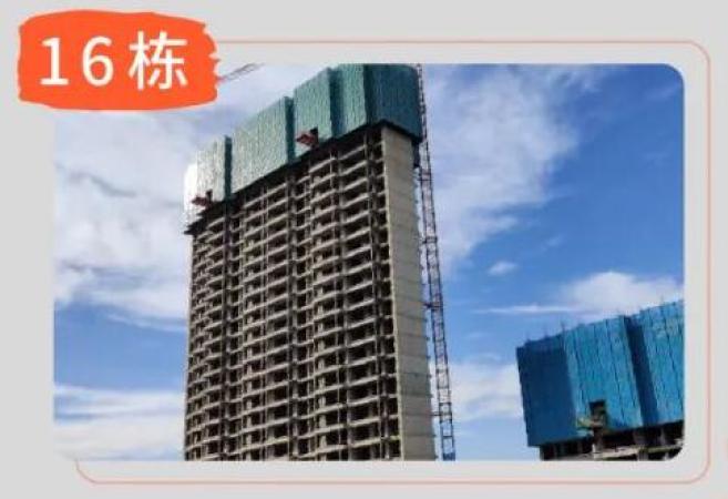 国信·棠樾云邸施工进度图