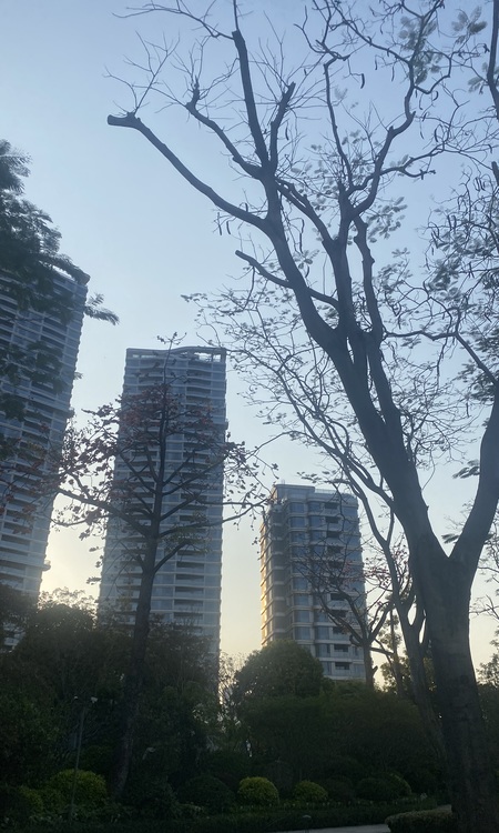 广州幸福湾施工进度图