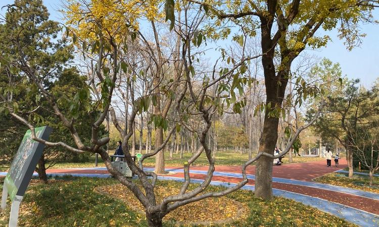 北京城建·宸知筑周边配套图