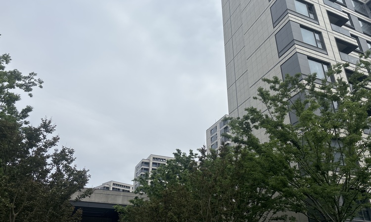 森兰海天名筑施工进度图