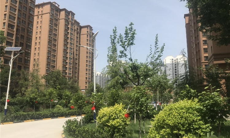 凤凰湖畔实景图