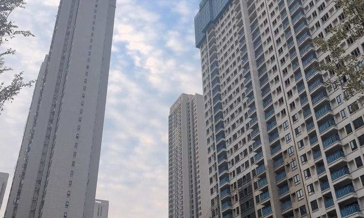 万科华生公园大道实景图