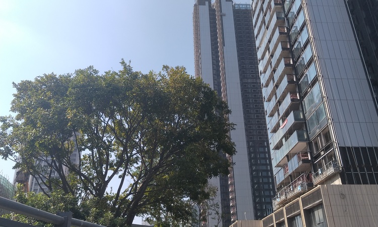 卓越柏奕府施工进度图