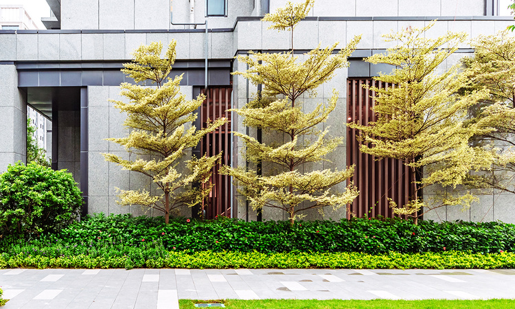 仁恒河滨花园实景图