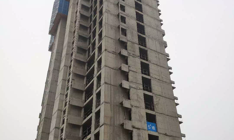 隆基泰和铂悦山施工进度图