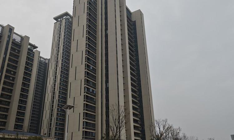 大华公园城市实景图