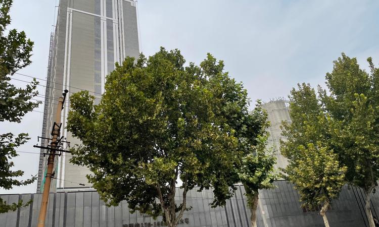 利航棠樾府施工进度图