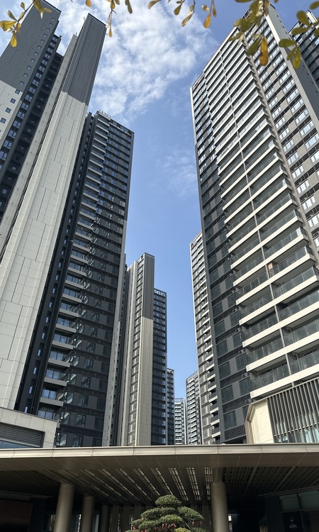 天健和悦府实景图