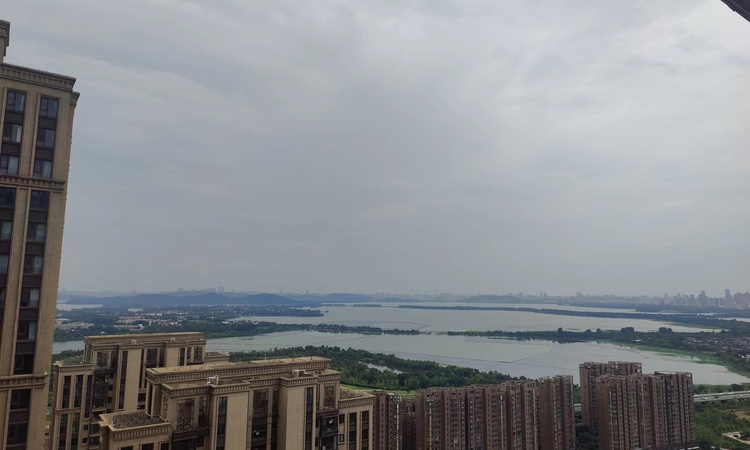 东湖金茂府实景图