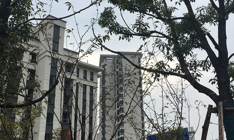 保利·罗兰香谷施工进度图