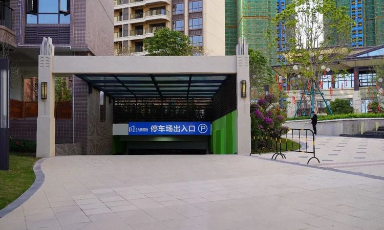 霸王花东城国际实景图