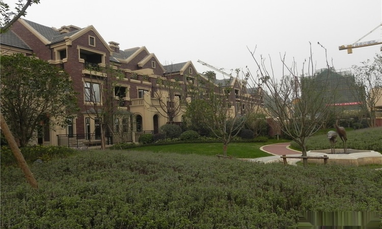 万科·红郡西岸实景图