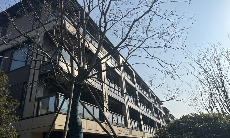 东滩·海上明月实景图