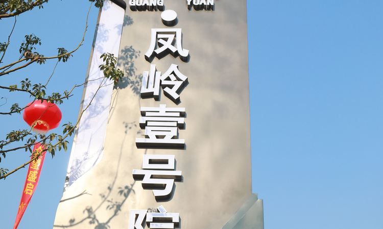 广源凤岭壹号院实景图