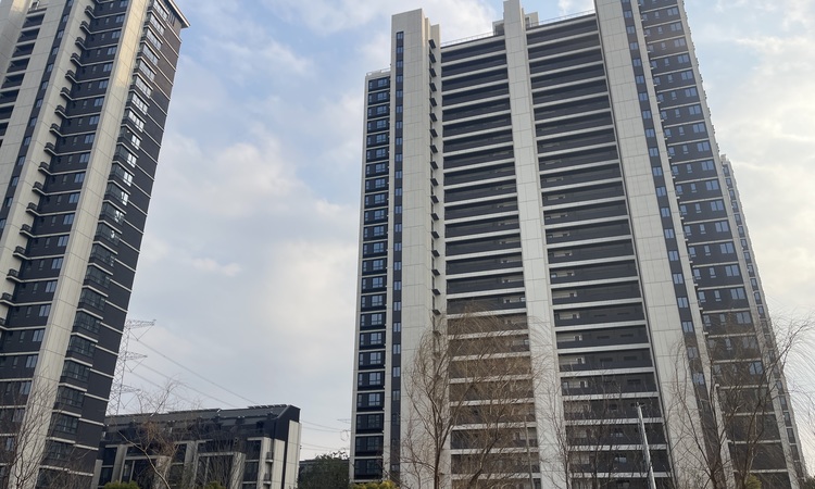 大华梧桐樾施工进度图