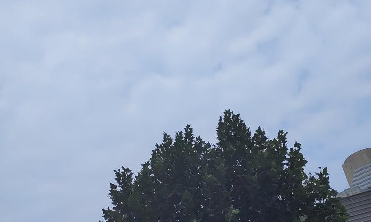 恒隆府施工进度图