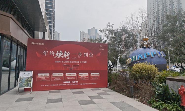 金融街·恒江雅筑实景图