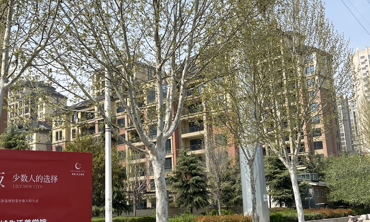 绿城·百合新城施工进度图