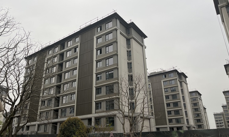 张江金茂府施工进度图