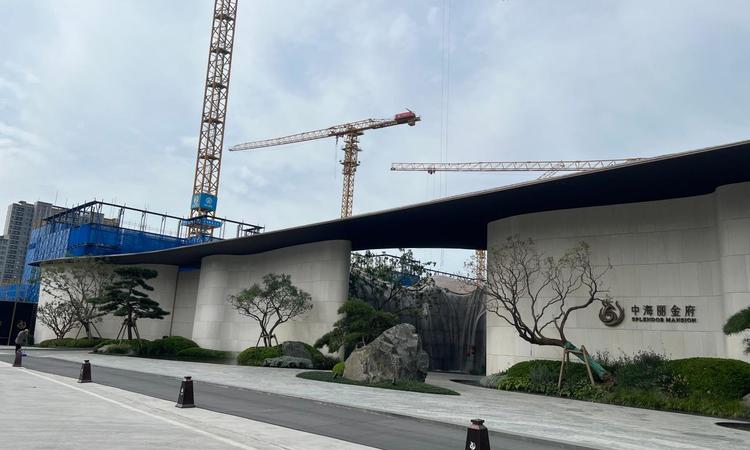 中海·丽金府施工进度图