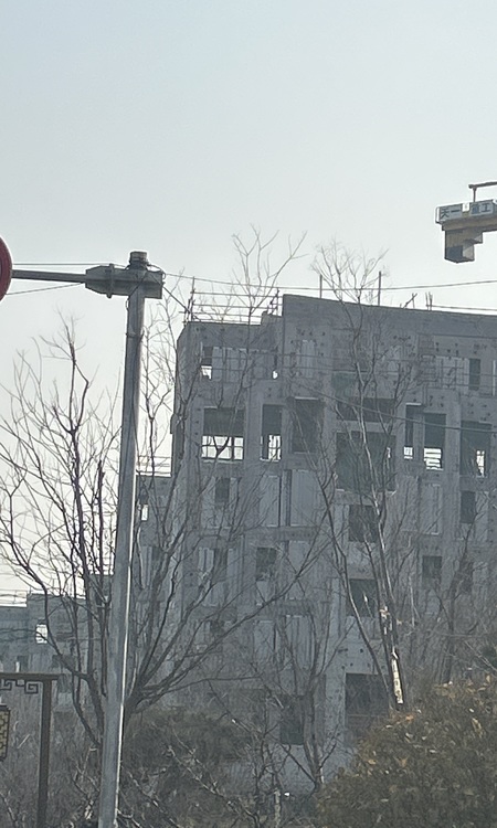 保利珑堂里院施工进度图