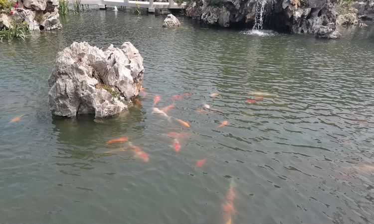 沂河雅园实景图