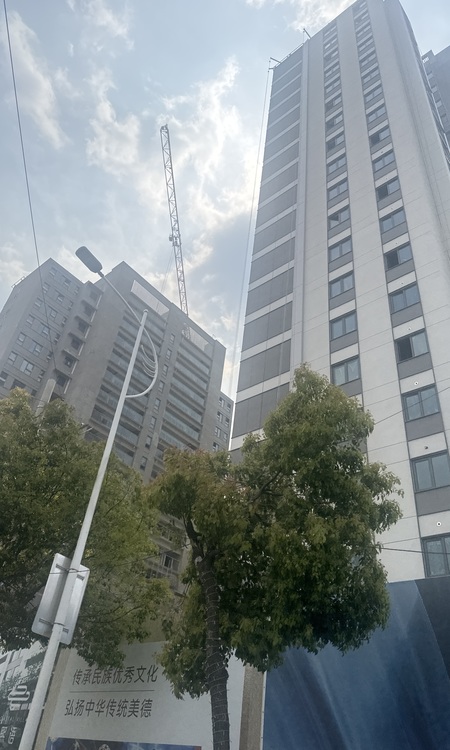 中国铁建·熙语施工进度图