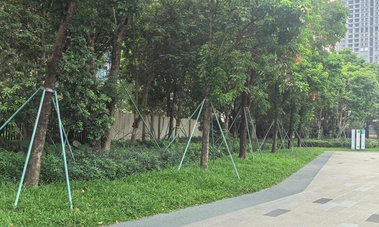 深铁前海时代施工进度图