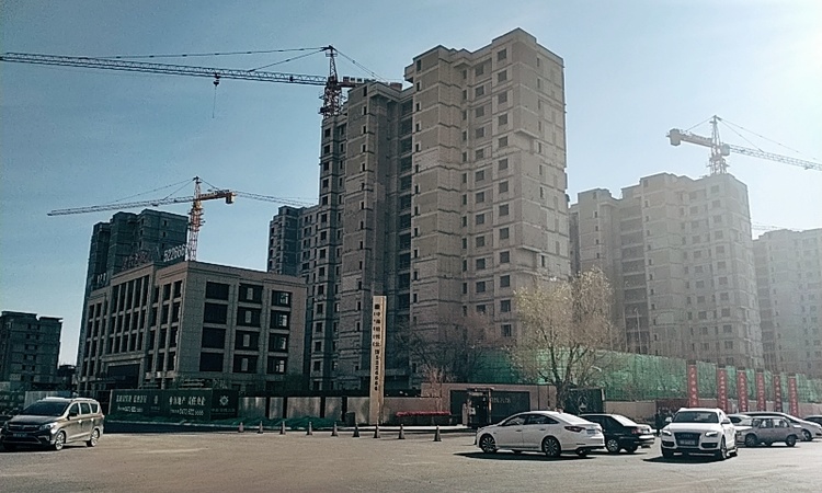  中海·铂悦公馆施工进度图