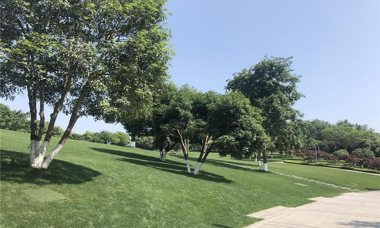 旭辉·铂宸中央周边配套图