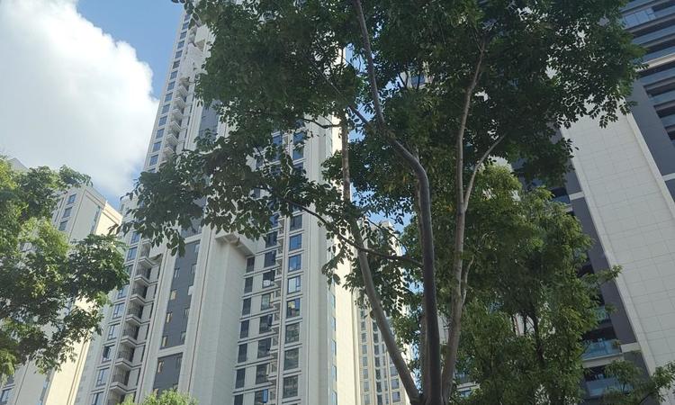 信达·新外滩实景图