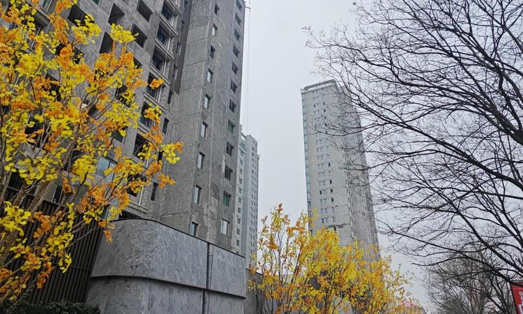 保利裕华天珺实景图