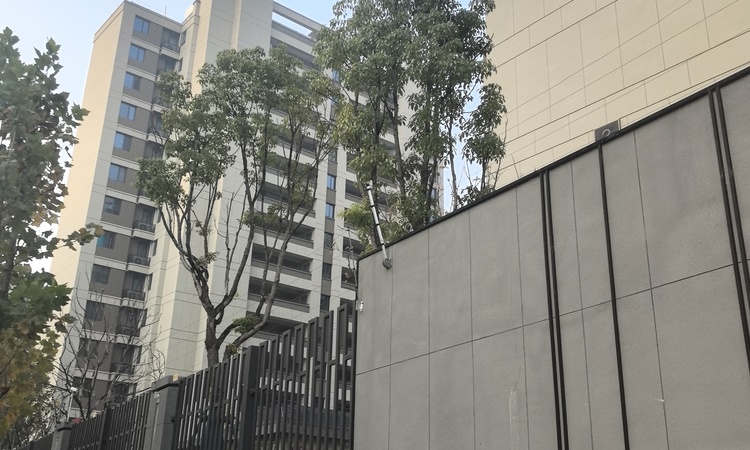 龙湖兴邦揽境实景图