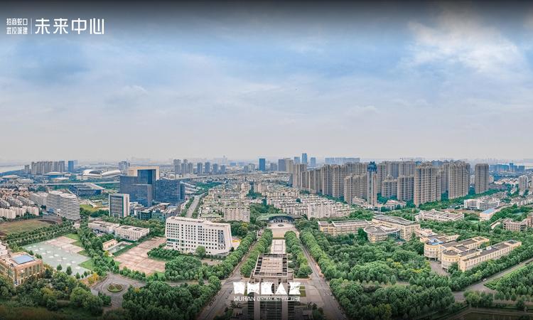 招商·武汉城建未来中心·樾府周边配套图