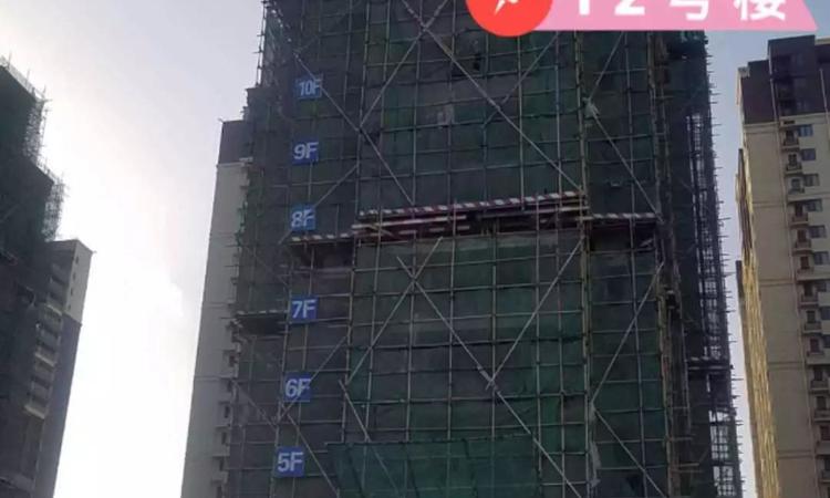 石药健康城施工进度图