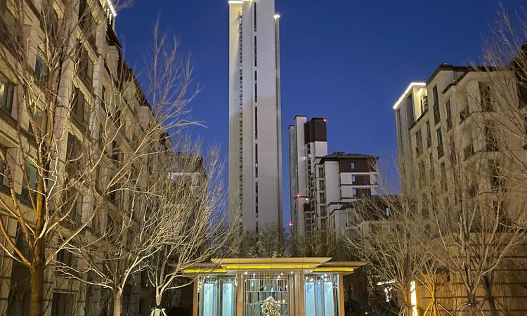 中国铁建西派国印实景图