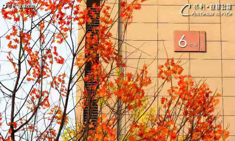 保利·拉菲公馆实景图