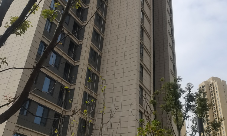 武汉城建悦享湖璟施工进度图