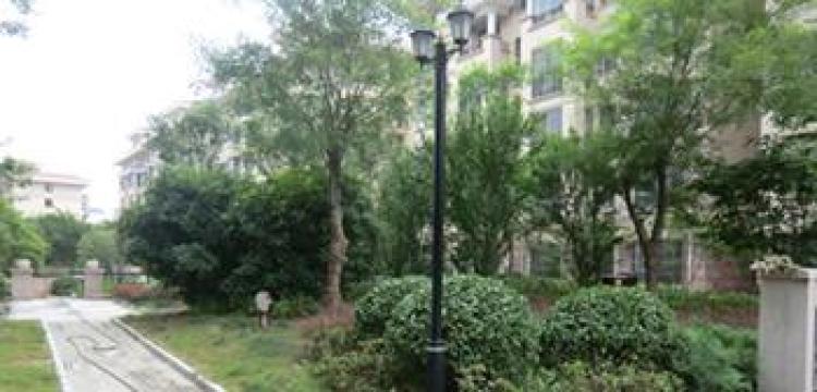 上河城实景图