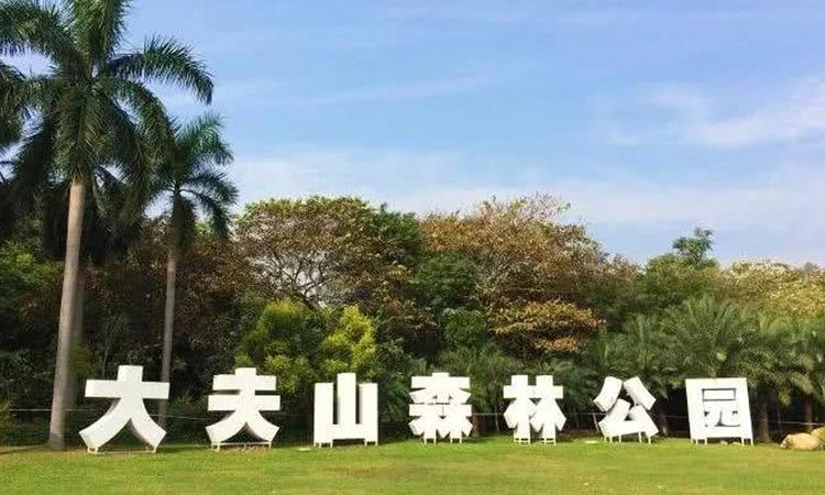 龙光天瀛周边配套图