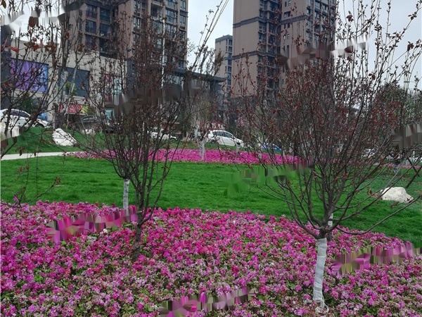 富丽滨江实景图